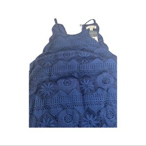 Francesca’s Navy Blue Lace Dress